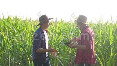团队合作智慧<strong>农牧</strong>概念慢动作视频.. 两个男人农艺师两个农民胜利握手团队合作